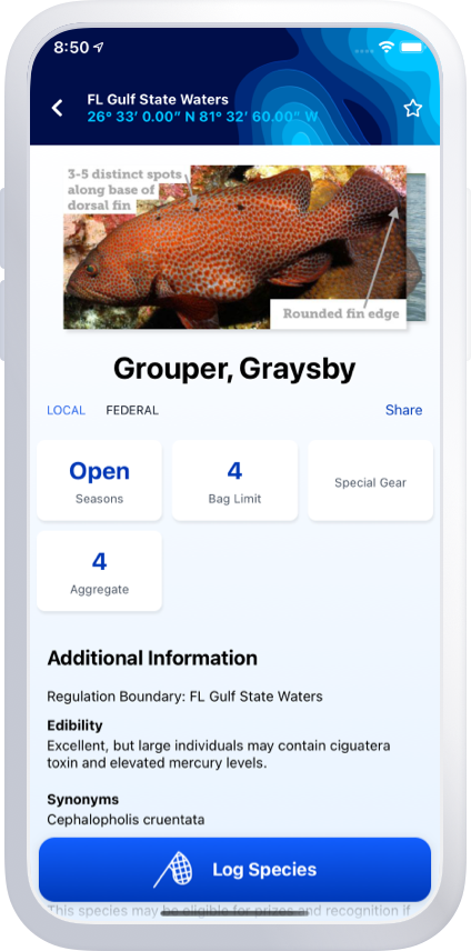about the fishing log app – fish trace